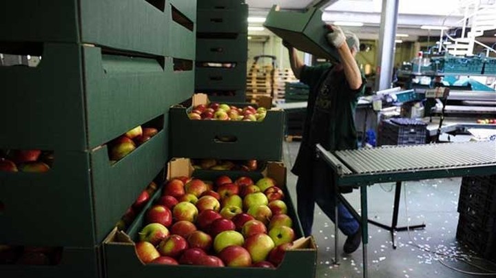 Επιπλέον 125 εκατ. από την ΕΕ στους παραγωγούς που επλήγησαν από το ρωσικό εμπάργκο