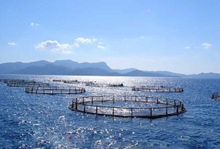 Ραγδαία ανάπτυξη στις ιχθυοκαλλιέργειες έως και 200% τα επόμενα χρόνια