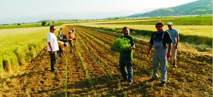 Ζεστά...Χριστούγγενα λόγω ΕΛΓΑ, θα κάνουν οι "πληγέντες" αγρότες 