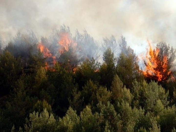 Πολύ υψηλός ο κίνδυνος πυρκαγιάς την Πέμπτη