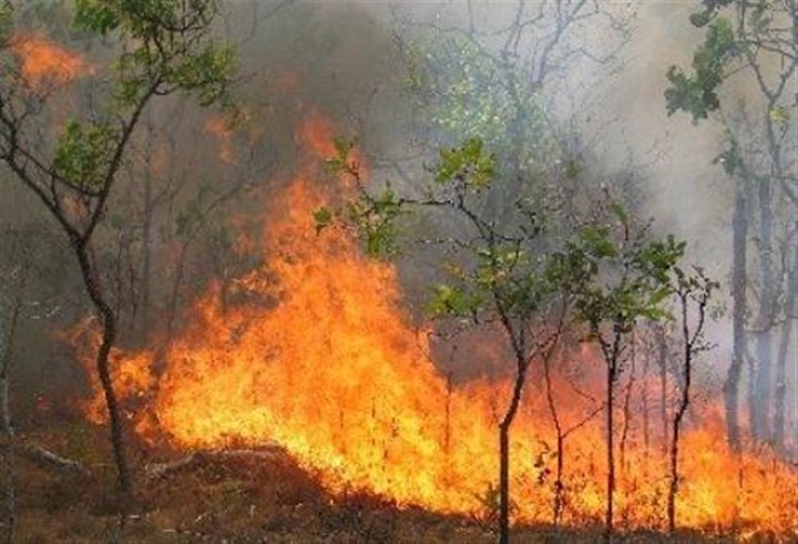 Πολύ υψηλός κίνδυνος πυρκαγιάς την Τετάρτη