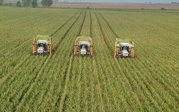 Προγράμματα 6,53 εκατ. ευρώ για προώθηση αγροτικών προϊόντων στην ευρωπαϊκή αγορά