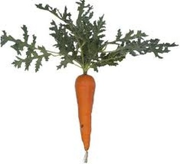 Σε… e-shop μετατρέπεται η λαχαναγορά – Αγοράστε φρούτα και κρέατα σε τιμές χονδρικής (πίνακας τιμών)