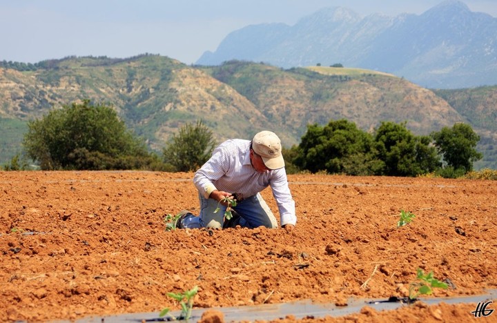 Έχεις χωράφια στο χωριό; Δες αν θα τηρείς βιβλία της εφορίας
