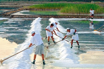 Η προκήρυξη για την πώληση της "Ελληνικές Αλυκές"