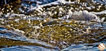 "Καμπάνες".... να φάνε και οι κότες σε περιβαλλοντικές παραβάσεις