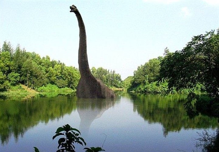 Динозавр жил в воде. Водные динозавры. Динозавр с длинной шеей. Динозавры в воде. Плавающий динозавр.