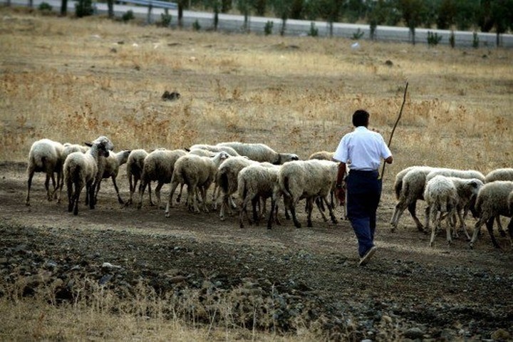 Οι κτηνοτρόφοι απειλούν ότι θα συνεχίσουν τις κινητοποιήσεις τους
