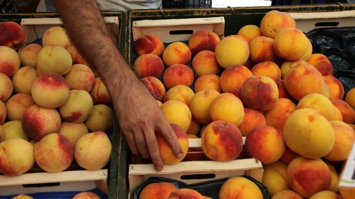 Δωρεάν διανομή ροδάκινων από το Δήμο Χαλανδρίου