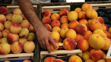 Δωρεάν διανομή ροδάκινων από το Δήμο Χαλανδρίου