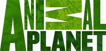 Πρεμιέρα για το Aninal Planet HD στον ΟΤΕ TV
