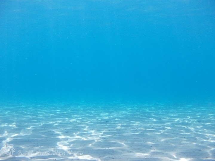 «Έξυπνα» υποβρύχια ρομπότ με ελληνική τεχνογνωσία