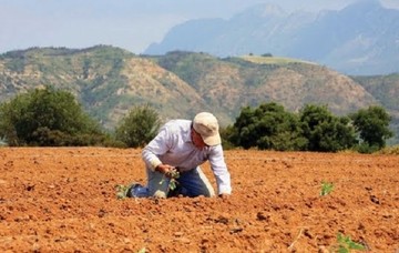 ΥπΑΑΤ: Στα €126 εκατ. η εξισωτική για τους γεωργούς για το 2014 