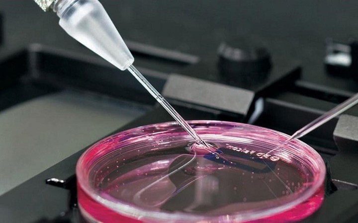 ΓΓΕΤ: Μηδενική χρηματοδότηση και καθόλου προσλήψεις στα νέα ερευνητικά κέντρα
