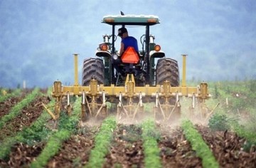 Πώς θα φορολογούνται όσοι έχουν αγροτικό εισόδημα (Ολόκληρη η εγκύκλιος)