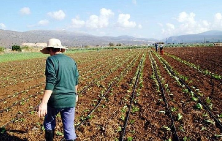 Νέο πρόγραμμα συμβολαιακής γεωργίας από την Εθνική