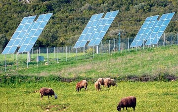 Παρατείνεται η δήλωση ιδιότητας για τους παραγωγούς με φωτοβολταϊκά