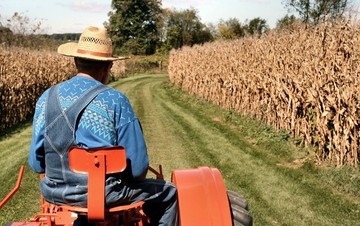 Πώς θα φορολογηθούν φέτος οι αγρότες - Δείτε ολόκληρη την εγκύκλιο