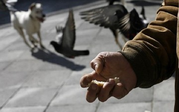 Ανακοινώνονται τα αποτελέσματα για το πρόγραμμα της Ανθρωπιστικής κρίσης