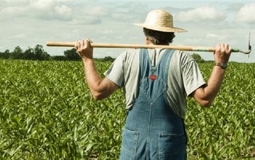 Περιορισμός στις αποζημιώσεις του ΕΛΓΑ λόγω ... μνημονίου