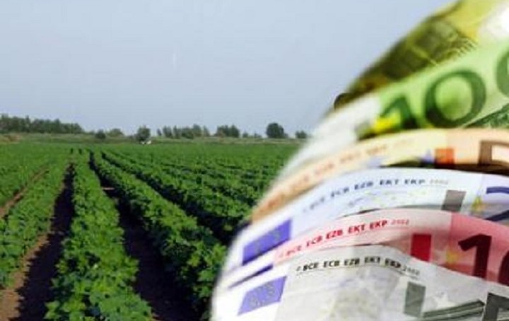 ΕΛΓΑ: Αποζημιώσεις ύψους 196.844 ευρώ για στο ζωικό κεφάλαιο