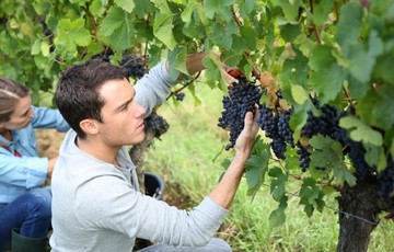 Παραμύθι ότι οι Ελληνες γυρνάνε στα χωράφια - Διαβάστε γιατί