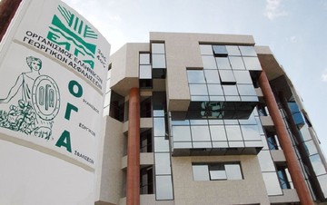 Ποιοι θα λάβουν σήμερα τα οικογενειακά επιδόματα του ΟΓΑ