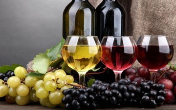 Παροχή διευκολύνσεων στους οινοπαραγωγούς