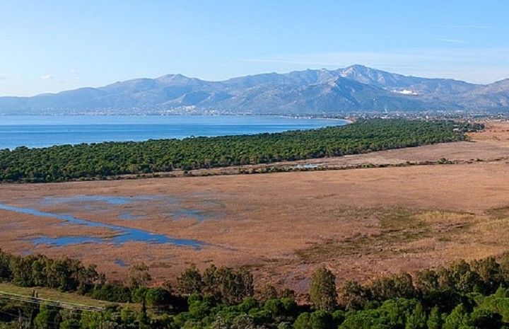 Ποια παραλία της Αττικής θα μετατραπεί σε Ελληνικό Λας Βέγκας