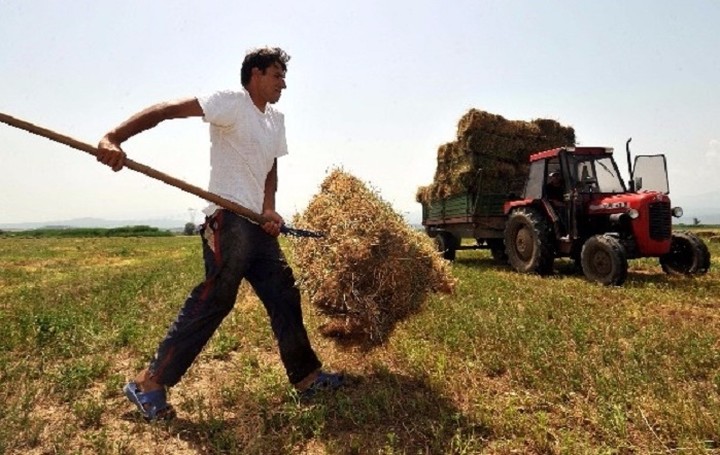 ΟΓΑ: Οδηγίες για νέους αγρότες