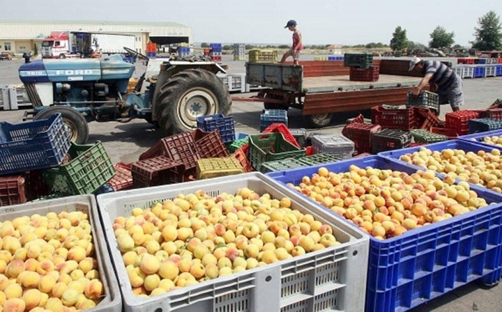 Σε ανοδική πορεία οι εξαγωγές φρούτων και λαχανικών