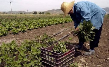 Τα προγράμματα για αγρότες που θα προκηρυχθούν έως το τέλος του χρόνου