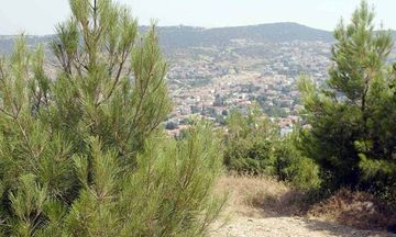 Από τον Οκτώβριο η ανάρτηση δασικών χαρτών για το 17% της χώρας