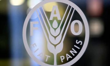 FAO: Το μισό του παγκόσμιου πληθυσμού θα υποσιτίζεται έως το 2030