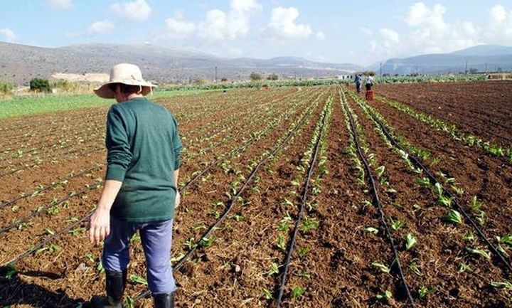 Ποια είναι η κατάσταση στον αγροτικό συνεταιρισμό σήμερα