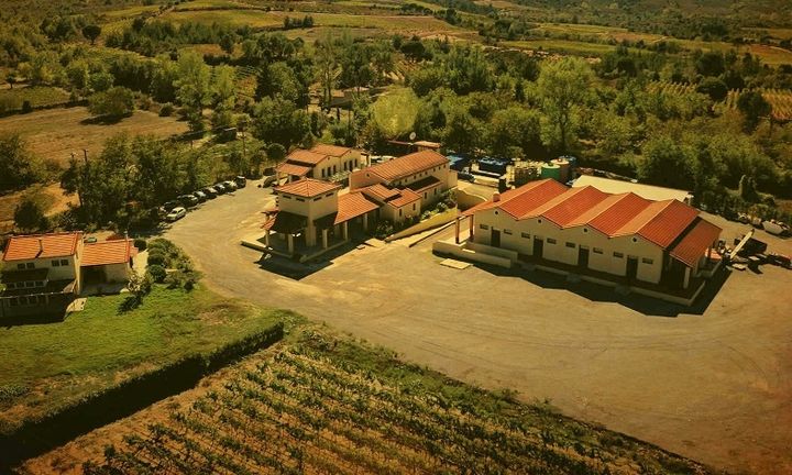 Τσέλεπος Οινοποιητική ΑΕ: Επενδυτικό πλάνο 2,5 εκατ. ευρώ