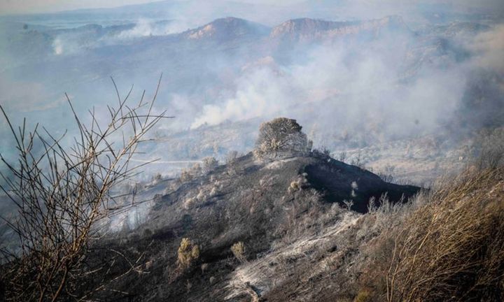 Ανατολική Αττική: 12.600 τα καμένα στρέμματα