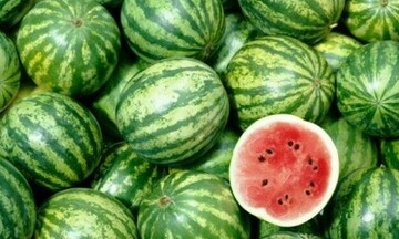 Δέσμευση 11,4 τόνων καρπουζιών 