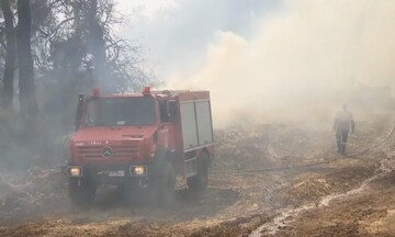 Οριοθετημένη η πυρκαγιά στην Εύβοια