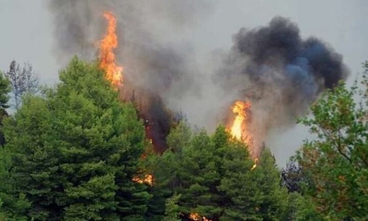 Πολύ υψηλός ο κίνδυνος πυρκαγιάς σε έξι περιφέρειες της Ελλάδας
