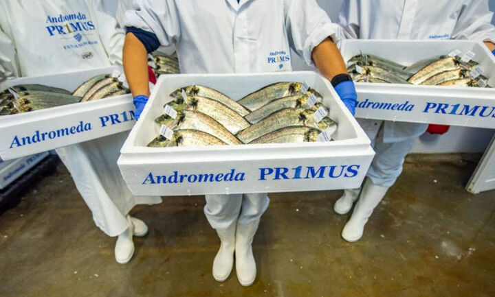 Andromeda Seafood: Ολοκλήρωση της εξαγοράς του Νηρέα και της Σελόντα