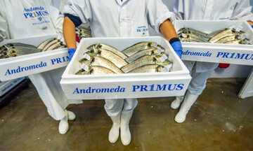 Andromeda Seafood: Ολοκλήρωση της εξαγοράς του Νηρέα και της Σελόντα