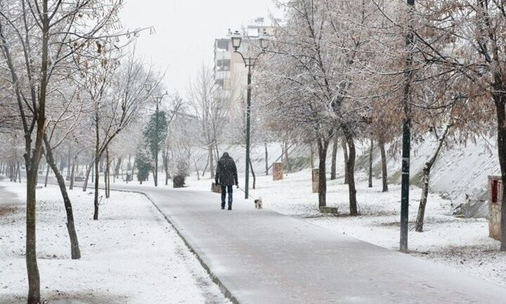 Ισχυρός παγετός: Στους -14 βαθμούς η θερμοκρασία στο Μαυρολιθάρι Φωκίδας 