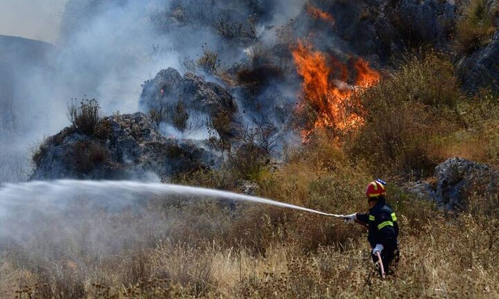 Πυρκαγιές σε Νέα Μάκρη και Καλύβια  - Ενισχύονται οι πυροσβεστικές δυνάμεις