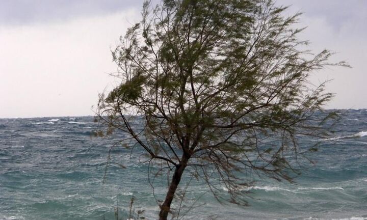 Κλέαρχος Μαρουσάκης: Από σήμερα  ψυχρή εισβολή - Δυνατοί βοριάδες, βροχές και καταιγίδες