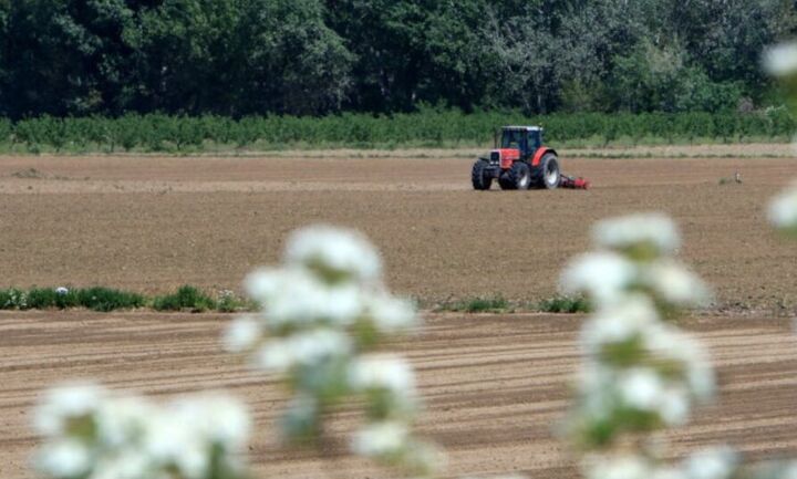 ΕΛΓΑ: Καταβάλλονται αύριο 1,6 εκατ. ευρώ σε 915 δικαιούχους