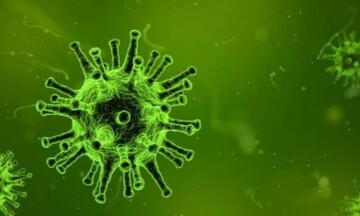 Νέο σοκ με 79 θανάτους, 751 διασωληνωμένους, 4.309 κρούσματα