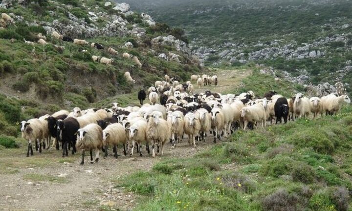 Συνεχίζεται η χορήγηση ενισχύσεων σε δικαιούχους της Εξισωτικής που αποκλείονταν το 2019