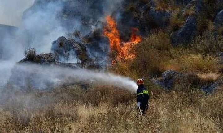 Οριοθετήθηκε η φωτιά στην Σμέρνα της Ηλείας -  Συνεχίζονται οι προσπάθειες για πλήρη έλεγχο