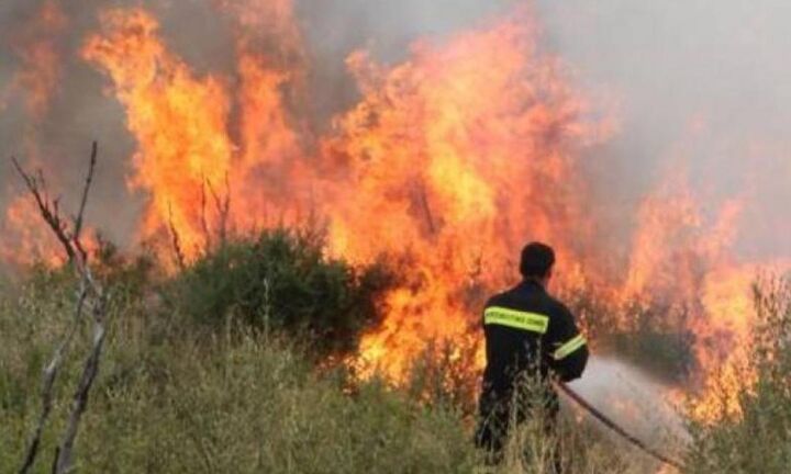  Κορωπί: Πυρκαγιά στην Αγία Μαρίνα Κορωπίου